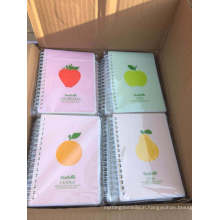 Good Quality Spiral Notebook for School, Office